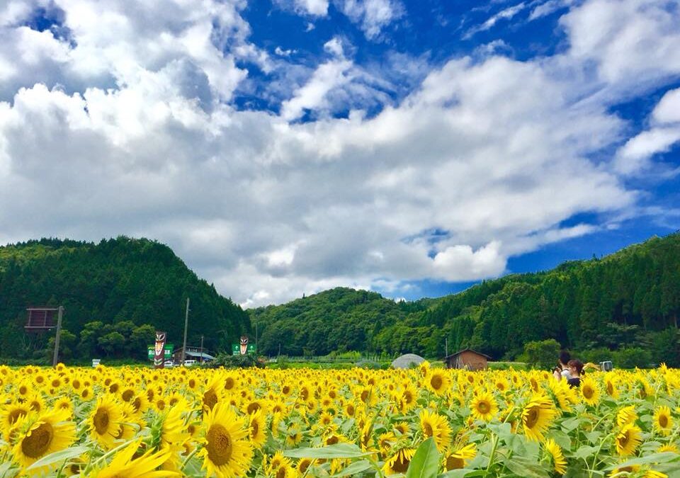 地方で起業することのメリットとデメリット