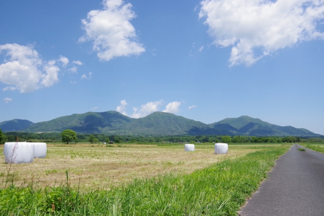 岡山で働く起業家の告白